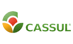 Cassul